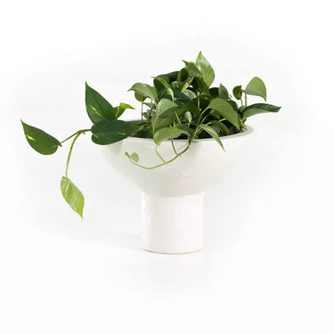 Pala Planter Set